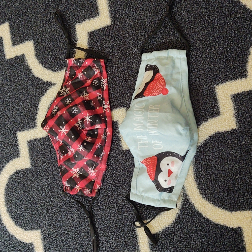 Bespoke Winter-Themed Adult Face Masks -Set of 2 - EUC